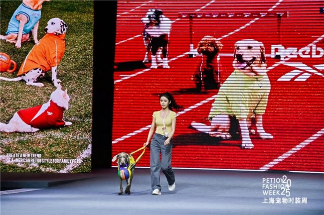 ​跨界合作，共筑人宠共生未来：上海宠物时装周推动生态保护与宠物产业创新